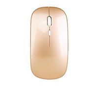 YOU GLOW GIRL Mouse senza fili LED, 3 mouse regolabili DPI Computer, 2.4G USB senza fili Mouse con interfaccia di conversione USB-C per iPad, Tablet (oro)