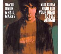 David Lind & Hail Marys - You Got to Fight for Your Righ