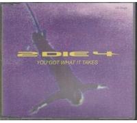 You Got What It Takes