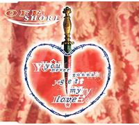 You never gonna get my love [Single-CD]