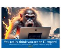 You really think you are an IT expert (Wall Calendar 2027 DIN A3 landscape), CAL