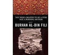 You Were Created to Be a Star Not a Burning Meteor: Poems