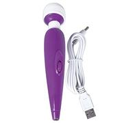 You2Toys Passion Pointer mini