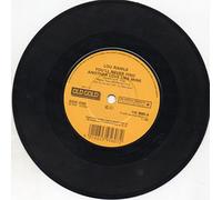 You'll Never Find Another Love Like Mine-7" 45