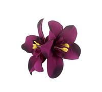 YOUNAFEN Fermaglio per capelli in tessuto a forma di orchidea, da donna, elegante, in tessuto, con fiore laterale, accessori per lo stile dei capelli, come da foto