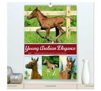 Young Arabian Elegance (High Quality Premium Wall Calendar 2027 DIN A2 portrait),CALVENDO 12 Month Wall Calendar: The fascinating world of young ... - full of grace, energy, and a zest for life.