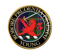 Young Clan Scozzese Spilla