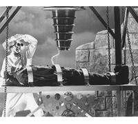 YOUNG FRANKENSTEIN FILM FOTO Poster Stampa 24x20" Immagine Stellare 177761