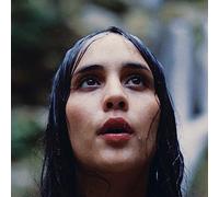 Nelson Willie & Family - Let S Face The Music And Dance (180 Gr. Vinyl Black & Gold Marbled Limited Edt.)