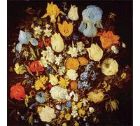 Young Moon - Navigated Like the Swan