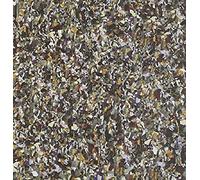 Young People - Friends Forever-Buddy Series Pt. 3