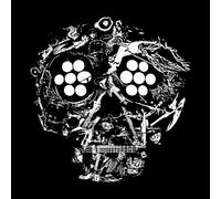 Young Widows Decayed: Ten Years of Cities, Wounds, Lightness and Pain (CD) Album