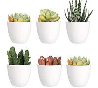 Youngever Confezione da 10 mini fioriere in plastica da 8 cm, per interni, vaso da giardinaggio bianco con drenaggio per tutte le piante domestiche, fiori, erbe, piante grasse, piante non incluse