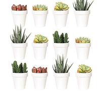 Youngever 24 Pacchi 5CM Fiori di Plastica per Piante, Vasetti per Piantine, Mini Vasi per Piante Grasse, Vasi da Fiori in Plastica, Vasi per Fiori da Interno (Classic, White)