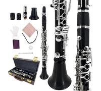 YoungMonic Clarinetto professionale in legno di ebano Mi bemolle nero con chiavi argentate per musicisti sinfonici e avanzati, include custodia rigida, ance, guanti e kit per la cura professionale