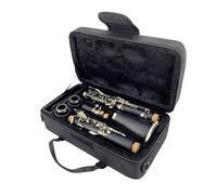 YoungMonic Custodia rigida per clarinetto in Sib, in tessuto Oxford nero, con interno imbottito in schiuma, manici e tracolla, custodia rimovibile per esercitarsi con la banda