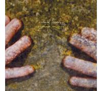 Youngs Richard - Autumn Response