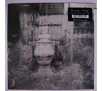 Richard Youngs Summer Through My Mind (Vinyl LP)