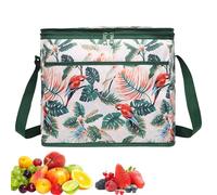 Youngwier Borsa Frigo | Porta Vivande Piegevole 18 Litri,Morbida Grande Portatile Pranzo Isolata Zaino Termico Per Picnic Spiaggia Pesca Escursionismo
