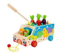 Youngwier Giocattoli Motricità Fine, Gioco Forme Raccolta Carote Apprendimento Precoce, Gioco Educativo per Bambini 1-3 Anni attività Apprendimento Precoce