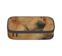 YounPrenG Astuccio portapenne, astuccio portapenne stampato di grande capacità, portapenne per ufficio e scuola,Golden Retriever stampato