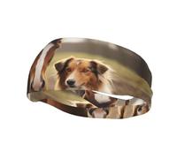 YoupO Fasce per capelli, Collie Dog and Horse Together Stampate Sportive per corsa, fitness, yoga, ciclismo, fasce per capelli traspiranti per allenamento, colore nero, 10906