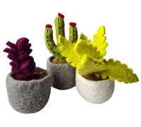 your castle Set di 3 piante grasse e cactus, piante artificiali in vaso in feltro, realizzate a mano, commercio equo, decorazione sostenibile in feltro Ensenada, altezza ca. 11 cm