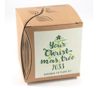 Your Christmas Tree 2031 - Kit per coltivazione "Your Christmas Tree 2031"