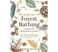 Your Guide to Forest Bathing: Experience the Healing Power of Nature