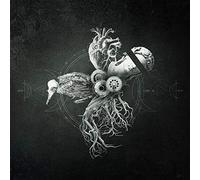 Your Life On Hold - Echoes From The Bardo