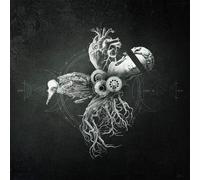 Your Life On Hold Echoes from the Bardo (CD)