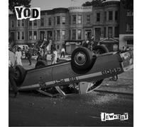 Your Old Droog Jewelry (Vinyl LP) 12" Album