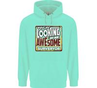 Youre Looking A An Stupenda Surveyor Uomo Felpa