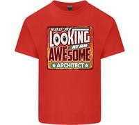Youre Looking A Un Stupenda Architetto Uomo Cotone T-Shirt