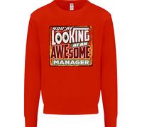 Youre Looking A Un Stupenda Manager Uomo Felpa Maglione