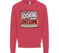 Youre Looking A Un Stupenda Manager Uomo Felpa Maglione