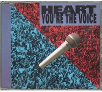 You're The Voice