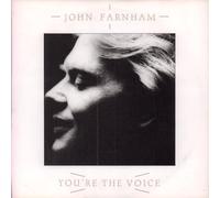 You're The Voice