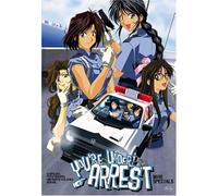 You're Under Arrest - Mini Specials