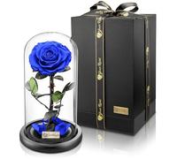 YourRoses® Rosa di alta qualità in un bicchiere con una bella scatola regalo, lunga durata e regalo elegante come prova d'amore, regalo del cuore