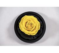 YourRoses®, vera rosa di alta qualità, in vetro, con una splendida confezione regalo, lunga durata e elegante regalo come prova d'amore, un regalo dal cuore (giallo)