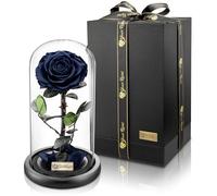 YourRoses® vera rosa di alta qualità in vetro con una splendida confezione regalo | lunga durata & elegante regalo come prova d'amore | Un regalo dal cuore