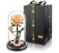 YourRoses® vera rosa di alta qualità in vetro con una splendida confezione regalo | lunga durata & elegante regalo come prova d'amore | Un regalo dal cuore