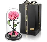 YourRoses® vera rosa di alta qualità in vetro con una splendida confezione regalo | lunga durata & elegante regalo come prova d'amore | Un regalo dal cuore