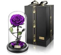 YourRoses® vera rosa di alta qualità in vetro con una splendida confezione regalo | lunga durata & elegante regalo come prova d'amore | Un regalo dal cuore