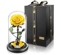 YourRoses® Vera Rosa in Vetro Con Splendida Confezione Regalo | Lunga Durata & Elegante Regalo Come Prova d'Amore | Dal Cuore