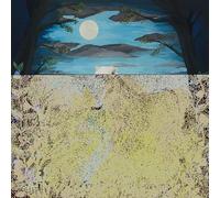 YOURS ARE THE ONLY EARS - WE KNOW THE SKY