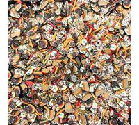 YourSchoiceVi Miscela di argilla polimerica da 15 grammi per il giorno del Ringraziamento, spruzzini di zucca autunnale, spruzzini polimerici autunnali per nail art, non commestibili