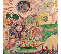 Youth Lagoon Wondrous Bughouse (Vinyl LP) 12" Album