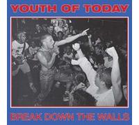 YOUTH OF TODAY - BREAK DOWN THE WALLS - Vinyl Record - E72z